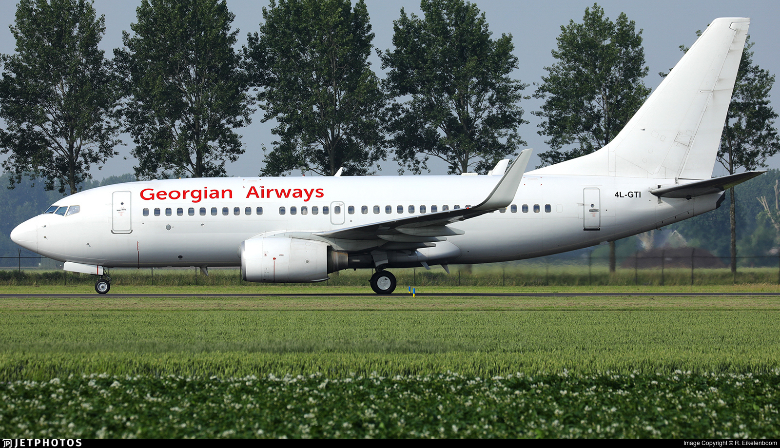 Самолет грузи. Самолёты Georgian Airways. Грузинские авиалинии. Georgian Airways фото. Самолеты Georgian Wings 737.